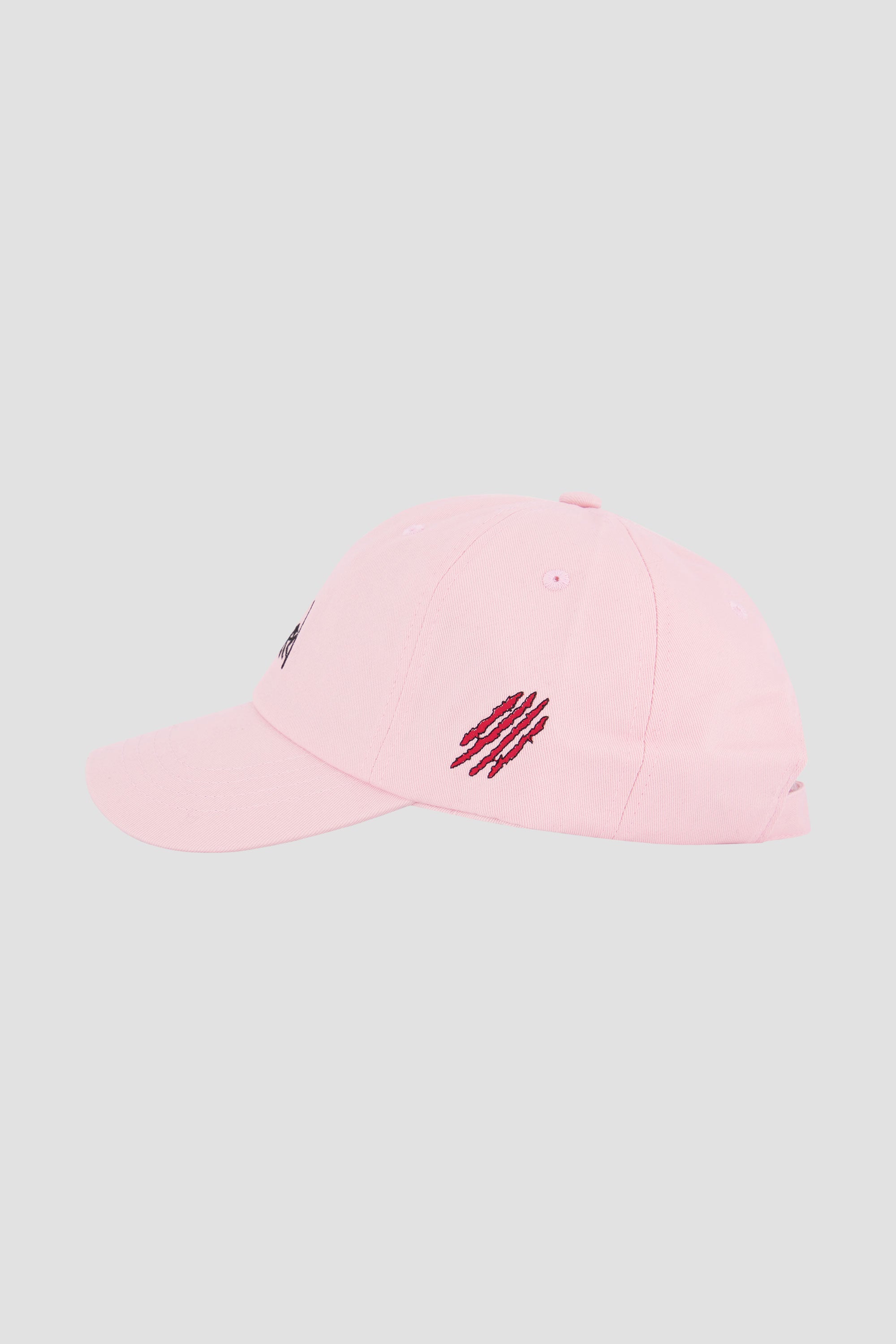 OG LOGO CAP