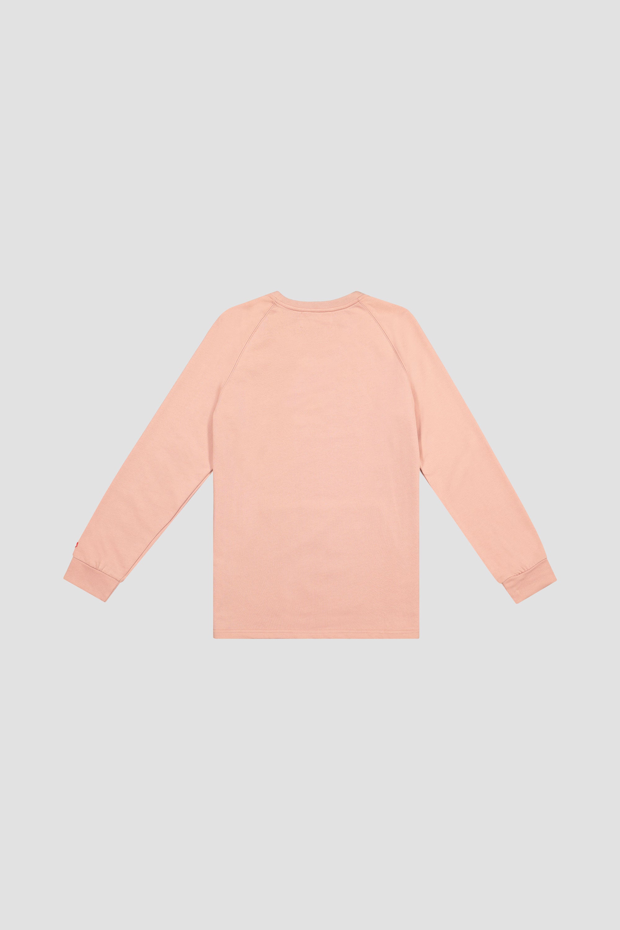 ROSE EMBROIDERED CREWNECK